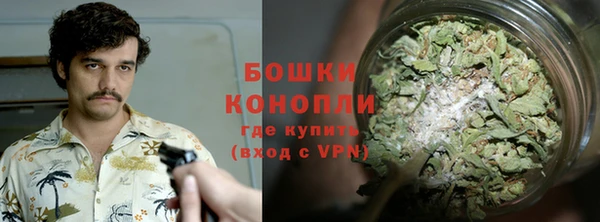 mdpv Горно-Алтайск