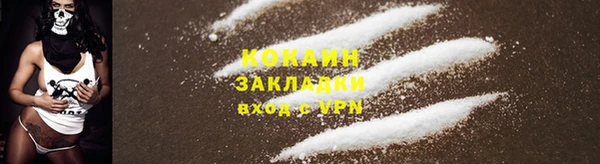 MESCALINE Горняк