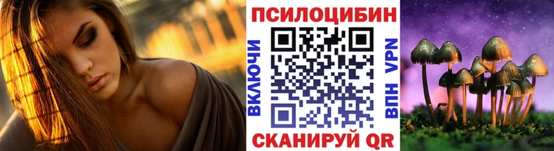 Псилоцибиновые грибы Psilocybe Дзержинский