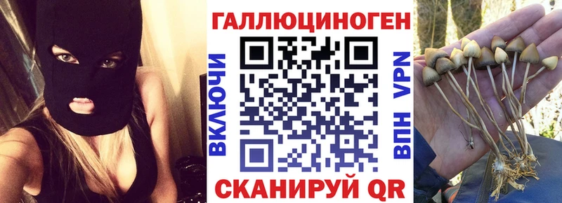 Псилоцибиновые грибы Cubensis  Дзержинский 
